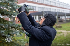 2024-12-06-Ubieranie-choinki-fot-Dariusz-Piekut