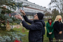 2024-12-06-Ubieranie-choinki-fot-Dariusz-Piekut