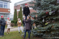 2024-12-06-Ubieranie-choinki-fot-Dariusz-Piekut