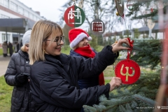 2024-12-06-Ubieranie-choinki-fot-Dariusz-Piekut