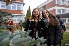 2024-12-06-Ubieranie-choinki-fot-Dariusz-Piekut