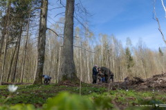 2026-04-22-ćwiczenia-terenowe-studentów-kierunku-leśnictwo-fot-Iryna-Mikhno-PB