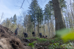 2026-04-22-ćwiczenia-terenowe-studentów-kierunku-leśnictwo-fot-Iryna-Mikhno-PB