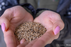 2026-04-22-ćwiczenia-terenowe-studentów-kierunku-leśnictwo-fot-Iryna-Mikhno-PB