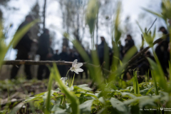 2026-04-22-ćwiczenia-terenowe-studentów-kierunku-leśnictwo-fot-Iryna-Mikhno-PB